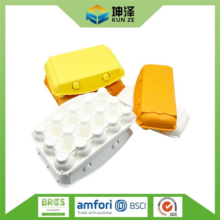 10 Egg Tray