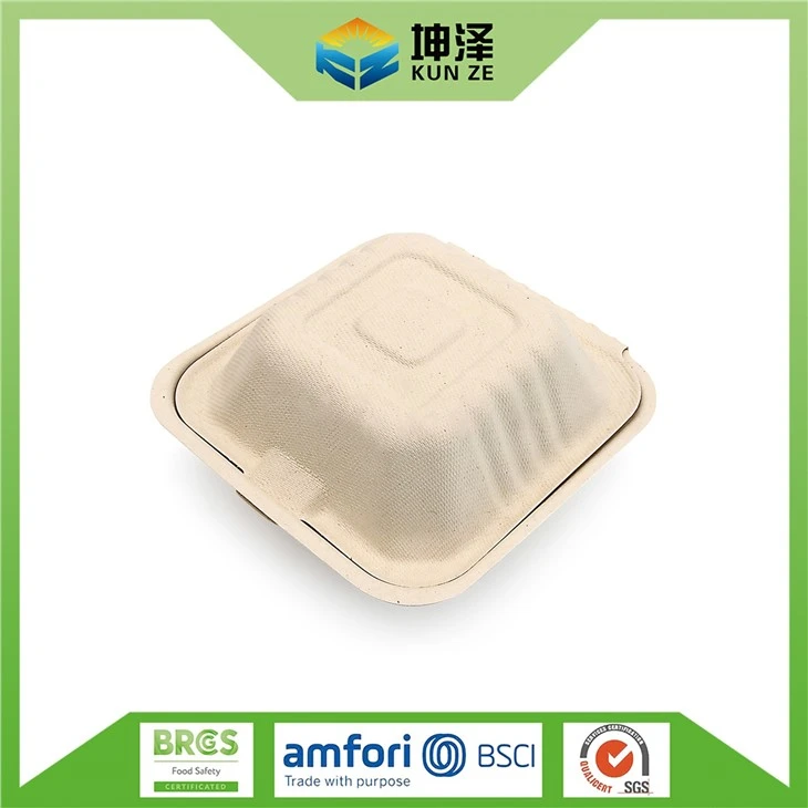 Disposable Hamburger Box