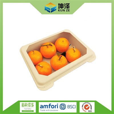Punnets de frutas biodegradáveis