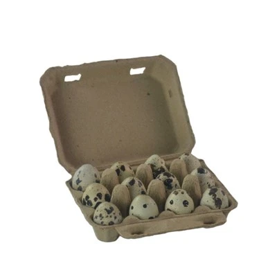 Caixas de ovos para ovos de codorna