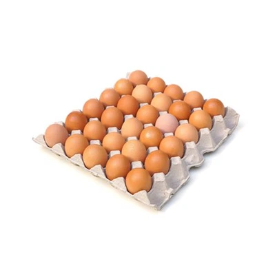 Ovos planos
