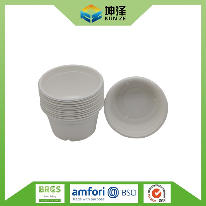 Sugarcane Bagasse Rice Bowl