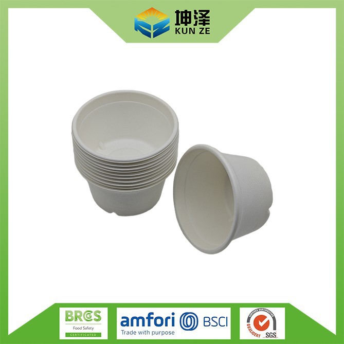 Sugarcane Bagasse Rice Bowl
